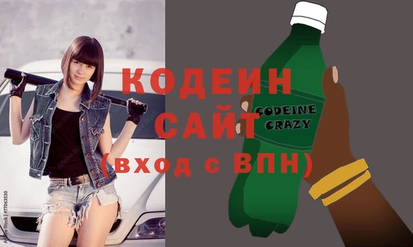 индика Абаза