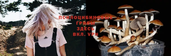 ПСИЛОЦИБИНОВЫЕ ГРИБЫ Алексеевка