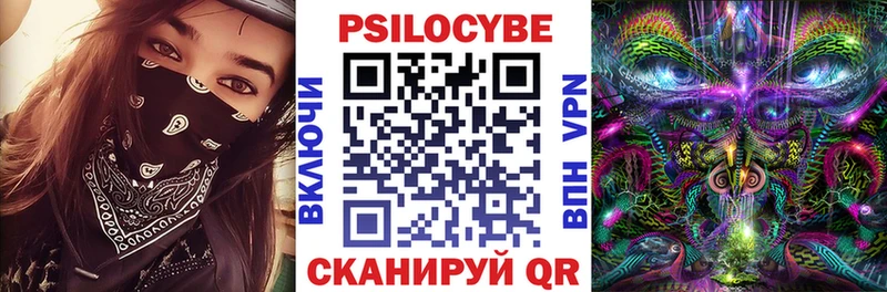 закладки  Моздок  Галлюциногенные грибы мицелий 