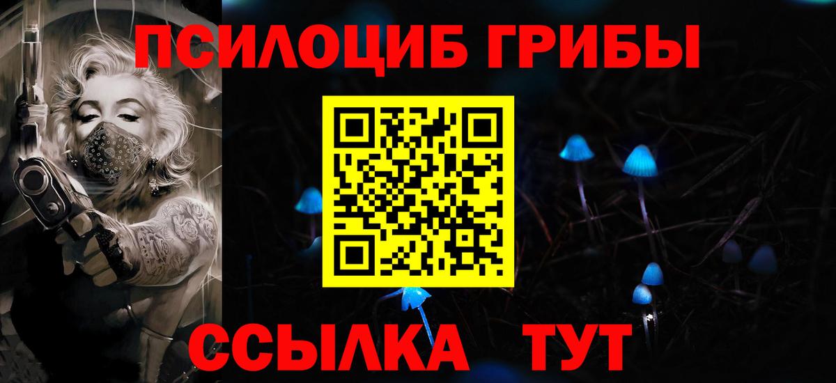 Моздок  Псилоцибиновые грибы Cubensis  Вход с VPN 